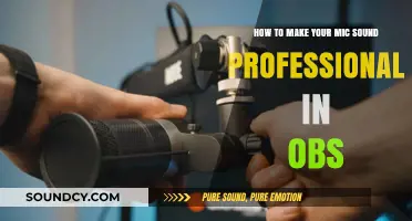 Achieve Professional Audio: OBS Microphone Setup Guide