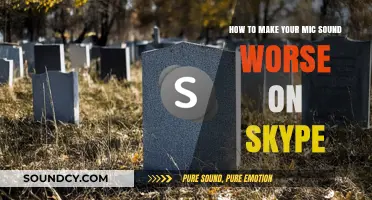 The Art of Terrible Audio: How to Make Your Mic Sound Worse on Skype