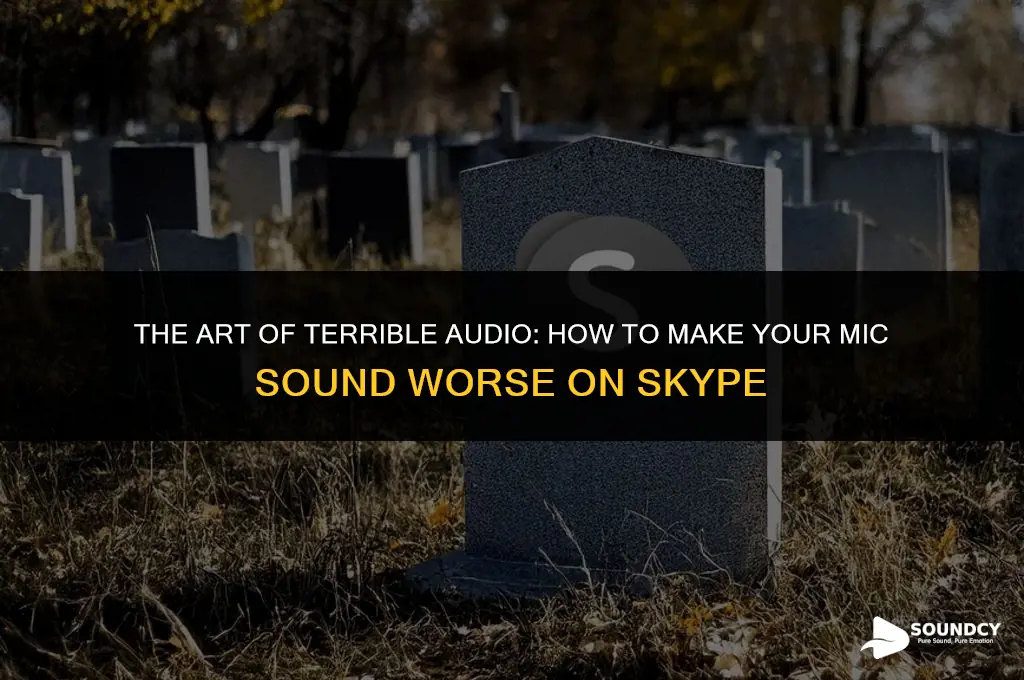 how to make your mic sound worse on skype