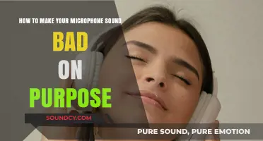 The Art of Terrible Audio: How to Make Your Microphone Sound Bad on Purpose