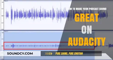 Elevate Your Podcast Audio: Mastering Sound Quality with Audacity