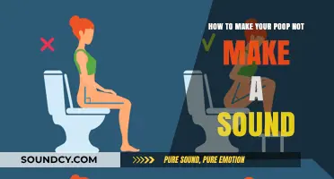 Silent Pooping: A Guide to Noisy Bathroom Etiquette