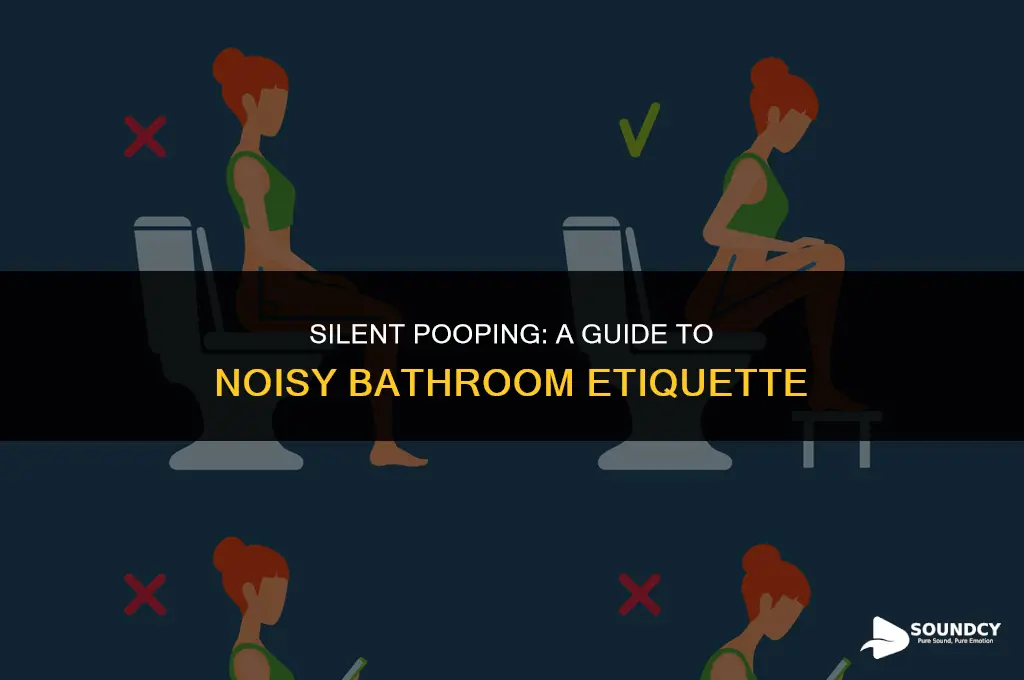 how to make your poop not make a sound