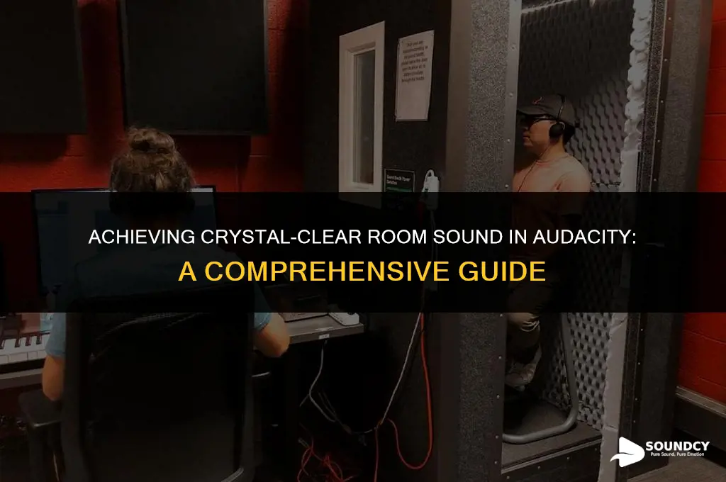 how to make your room sound clear in audacity