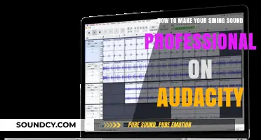 Elevate Your Vocals: Mastering Professional Sound on Audacity
