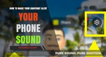 Customizing Snapchat Notifications: Make Your Phone Sound Alert!