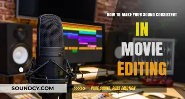 Achieving Sonic Harmony: Tips for Consistent Movie Audio Editing
