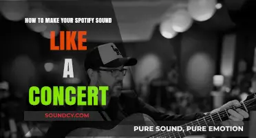 Elevate Your Spotify Experience: Tips for Concert-Like Sound