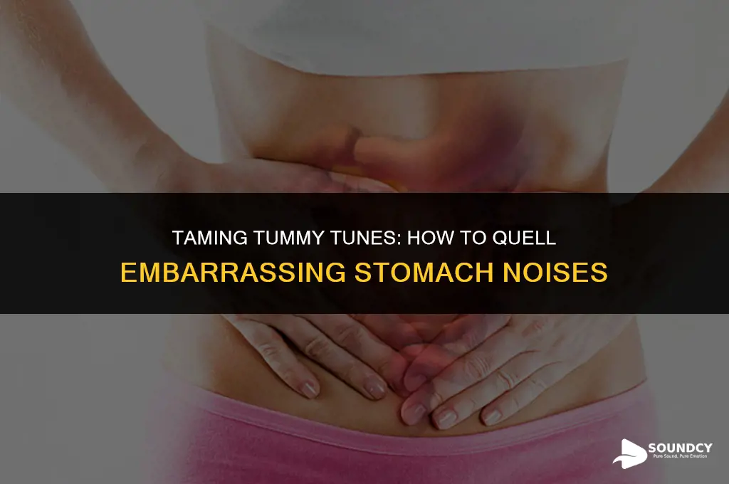 how to make your stomach stop making weird sounds