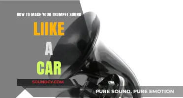Trumpet Tricks: Mimicking Car Sounds with Musical Mastery