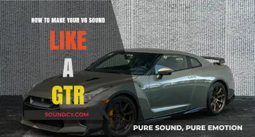 Unleash the Beast: Transforming Your V6 into a GTR Symphony