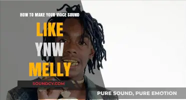 Unlocking the Melodic Flow: A Guide to Emulating YNW Melly's Unique Vocal Style