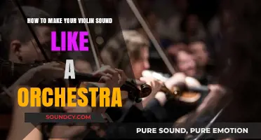Violin Mastery: Crafting Orchestral Soundscapes Solo