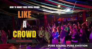 Echoes of Many: Crafting a Vocal Crowd Illusion