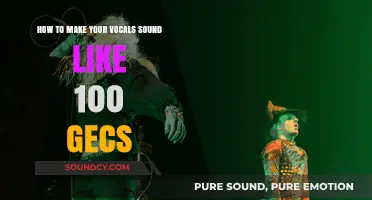 Unleash Your Inner 100 Gecs: A Vocal Transformation Guide