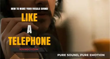 Echoes of Retro: Crafting Telephone-Like Vocals in Music Production