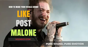 Unleash Your Inner Post Malone: A Guide to Emulating His Unique Vocal Style