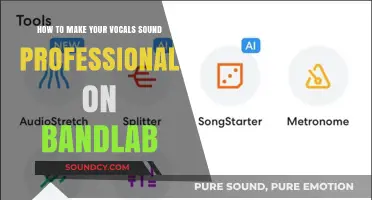 Elevate Your Vocals: Pro Tips for BandLab Users