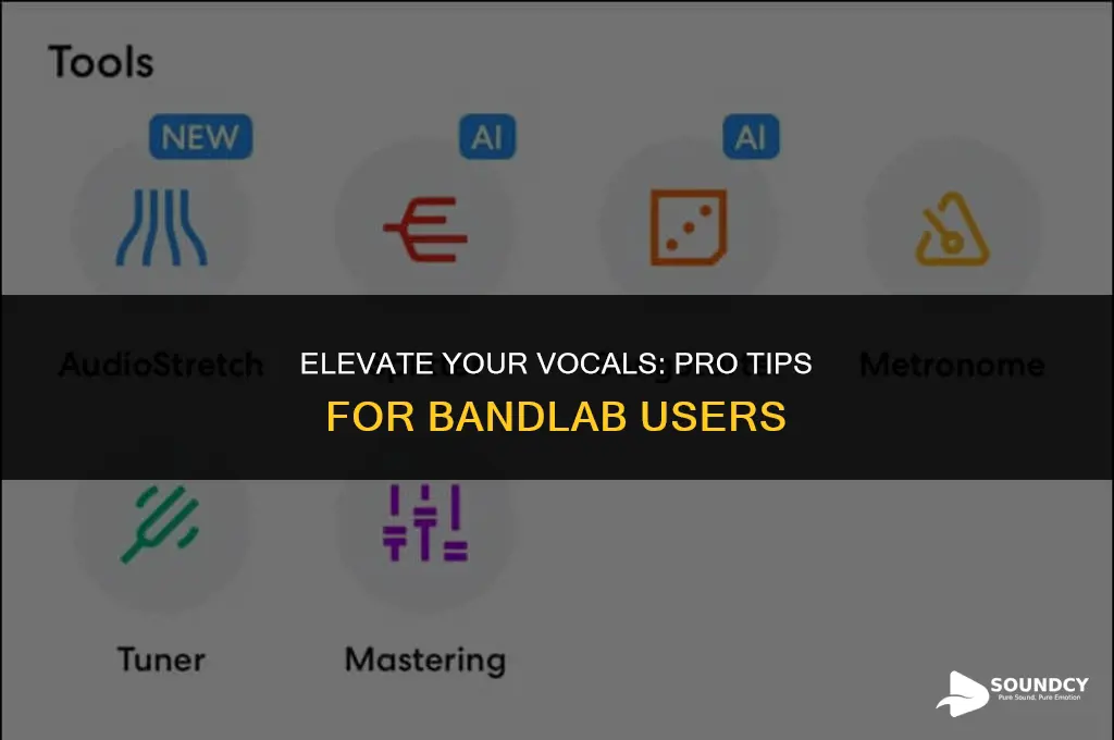 how to make your vocals sound professional on bandlab