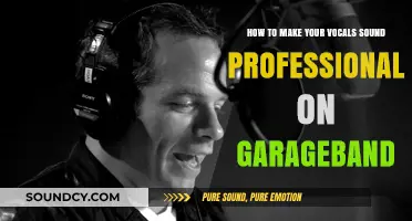 Elevate Your Vocals: Pro Tips for GarageBand Users