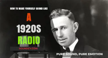Echoes of the Jazz Age: Mastering the 1920s Radio Voice