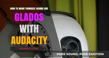Crafting Your Inner GLaDOS: A Step-by-Step Audacity Guide