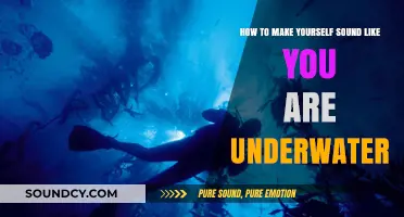Echoes from the Deep: Mastering the Underwater Sound Effect