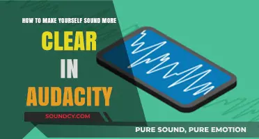 Enhance Your Audio Clarity: Tips for Crisp Sound in Audacity