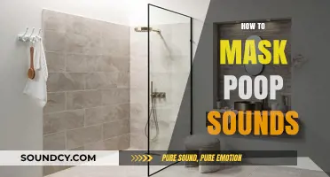 Quiet Bathroom Tips: How to Mask Poop Sounds Discreetly