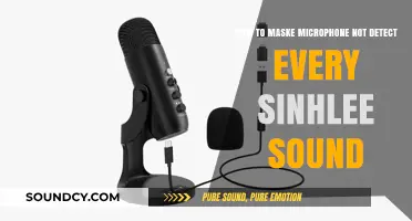 Effective Ways to Minimize Unwanted Sounds on Your Microphone