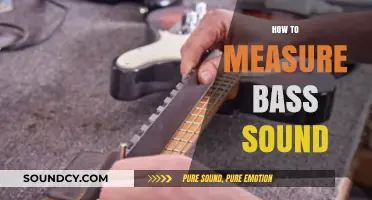 Mastering Bass Measurement: Techniques for Accurate Low-End Sound Analysis