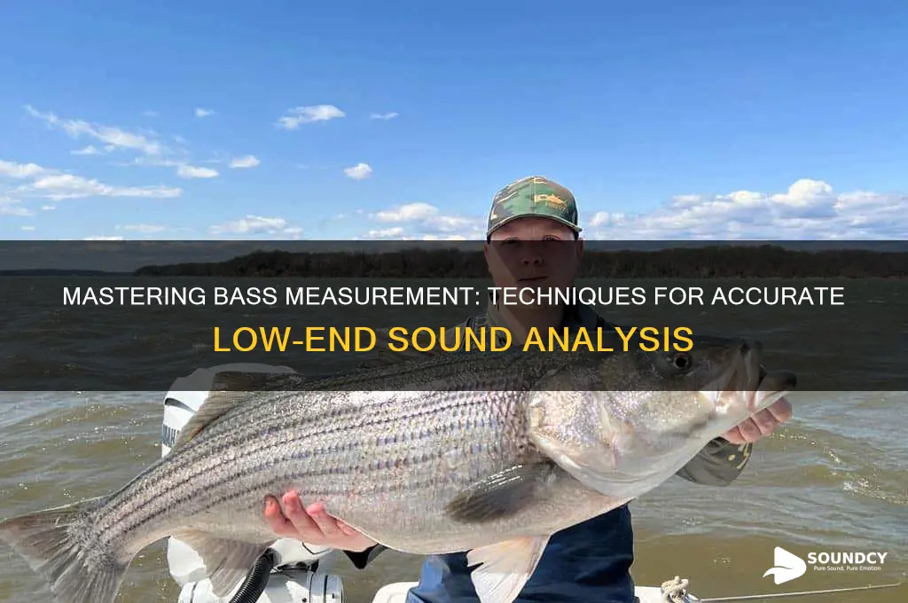 how to measure bass sound