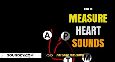 Mastering Heart Sound Measurement: Techniques and Tools for Accurate Auscultation