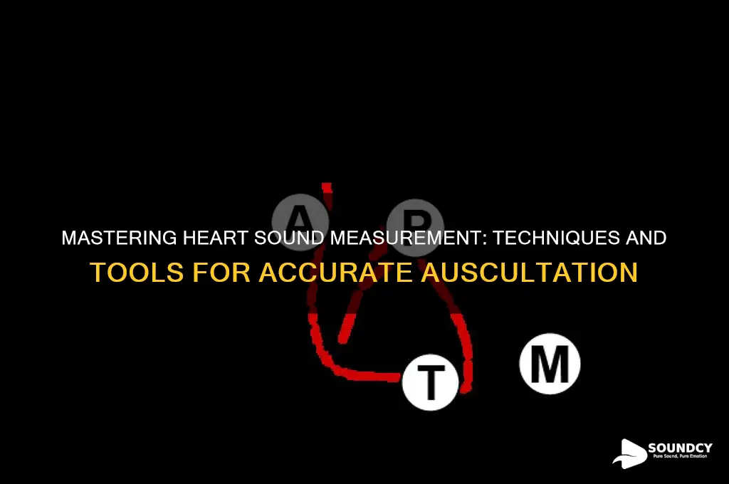 how to measure heart sounds