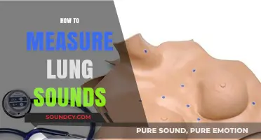 Mastering Auscultation: A Comprehensive Guide to Measuring Lung Sounds