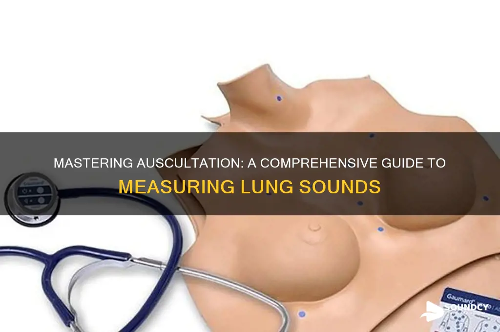 how to measure lung sounds