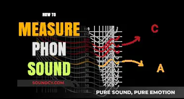 Mastering Phon Sound Measurement: Techniques and Tools for Accurate Results