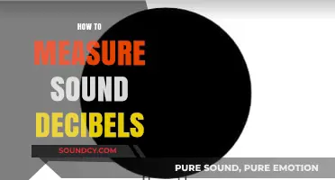 Mastering Sound Measurement: A Guide to Decibel Level Assessment