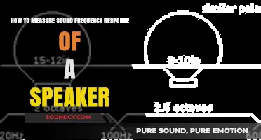 Decoding Speaker Performance: A Guide to Sound Frequency Response Measurement