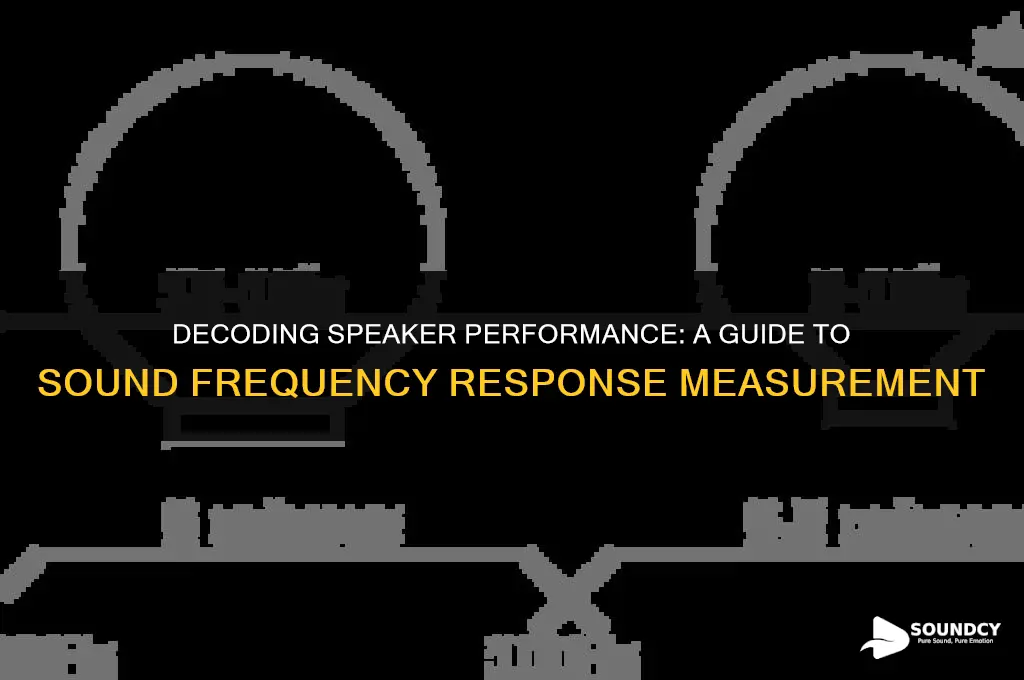 how to measure sound frequency response of a speaker