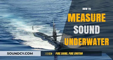 Measuring Underwater Sound: Techniques and Tools for Accurate Detection
