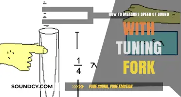 Measuring Sound Speed: A Simple Guide Using Tuning Forks
