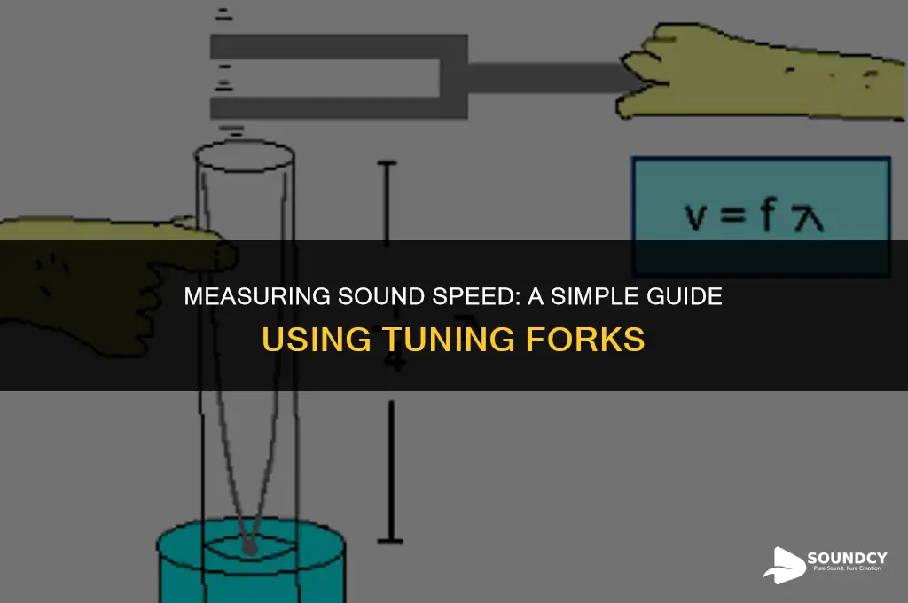 how to measure speed of sound with tuning fork