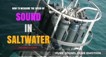 Exploring the Depths: Measuring Sound Speed in Saltwater