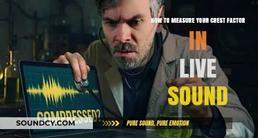 Mastering Live Sound: A Guide to Measuring Your Crest Factor