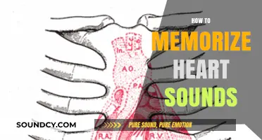 Mastering Heart Sounds: Effective Memorization Techniques for Medical Professionals