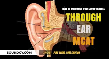 Mastering the MCAT: How Sound Travels Through the Ear