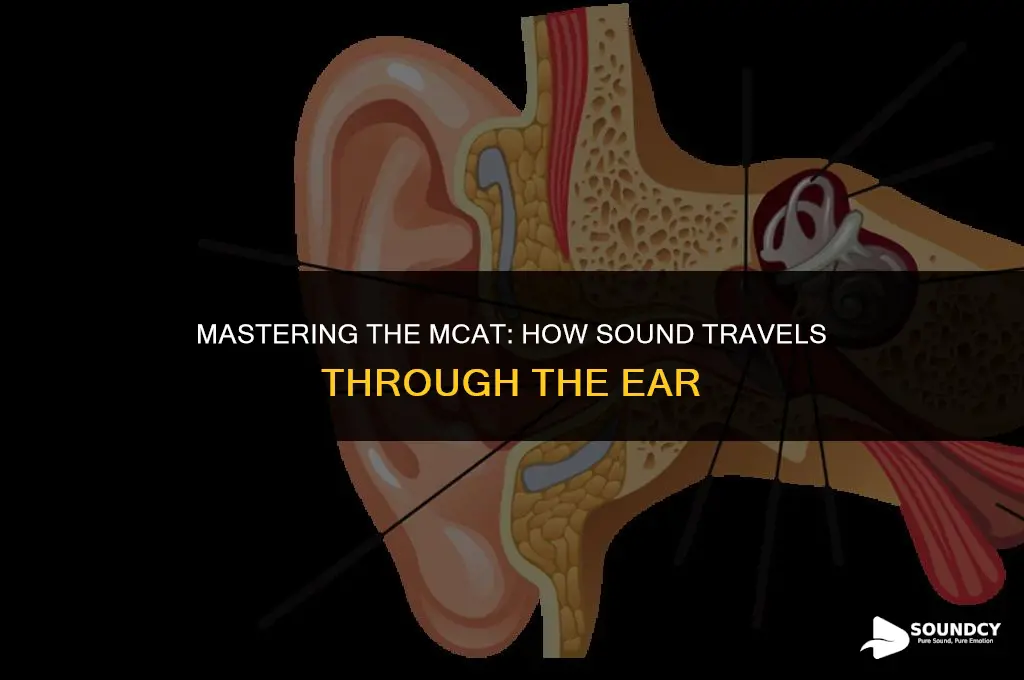 how to memorize how sound travels through ear mcat