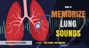 Mastering Lung Sounds: Effective Memorization Techniques for Medical Professionals