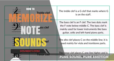 Mastering Musical Notes: Effective Techniques to Memorize Note Sounds